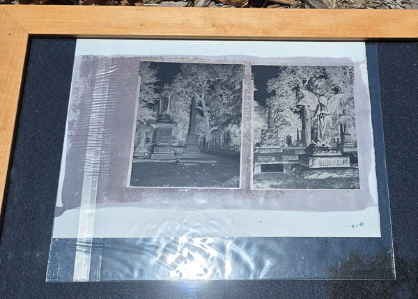 Platinum-Paladium prints